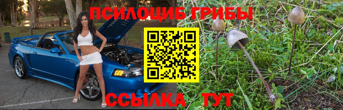 Самара  Галлюциногенные грибы мухоморы  где купить наркоту  Вход с VPN 
